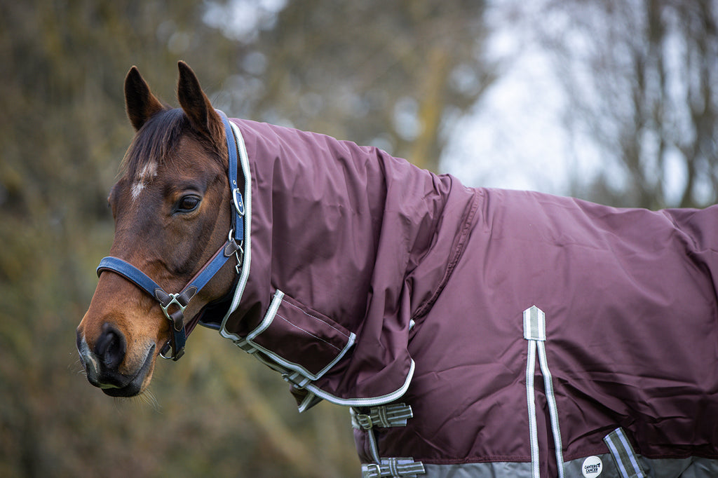 What does fill mean in horse rugs?