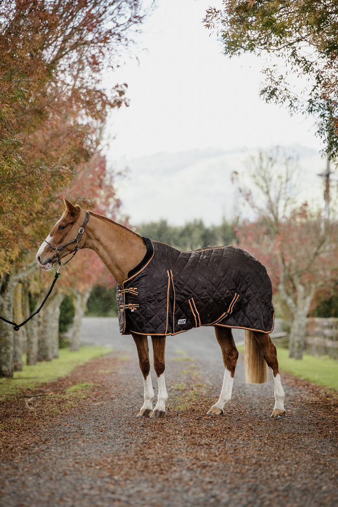 What kind of stable rug should I use on my horse?