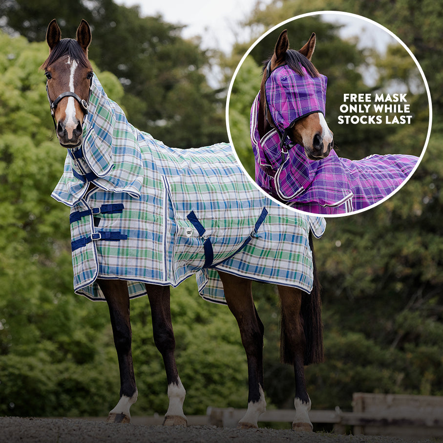 Mesh PVC Detachable with FREE Fly Mask*