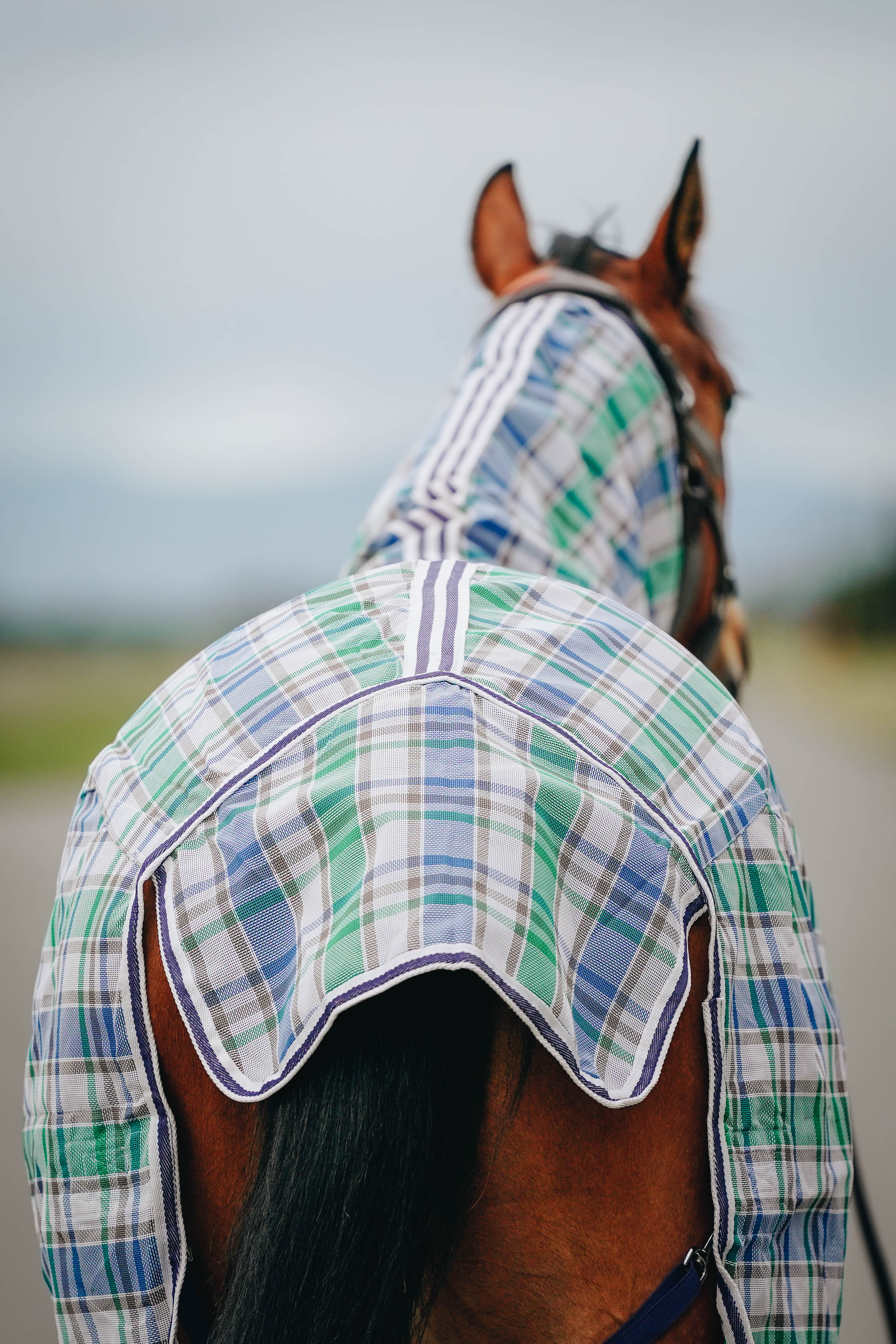 Mesh PVC Combo with FREE Fly Mask*