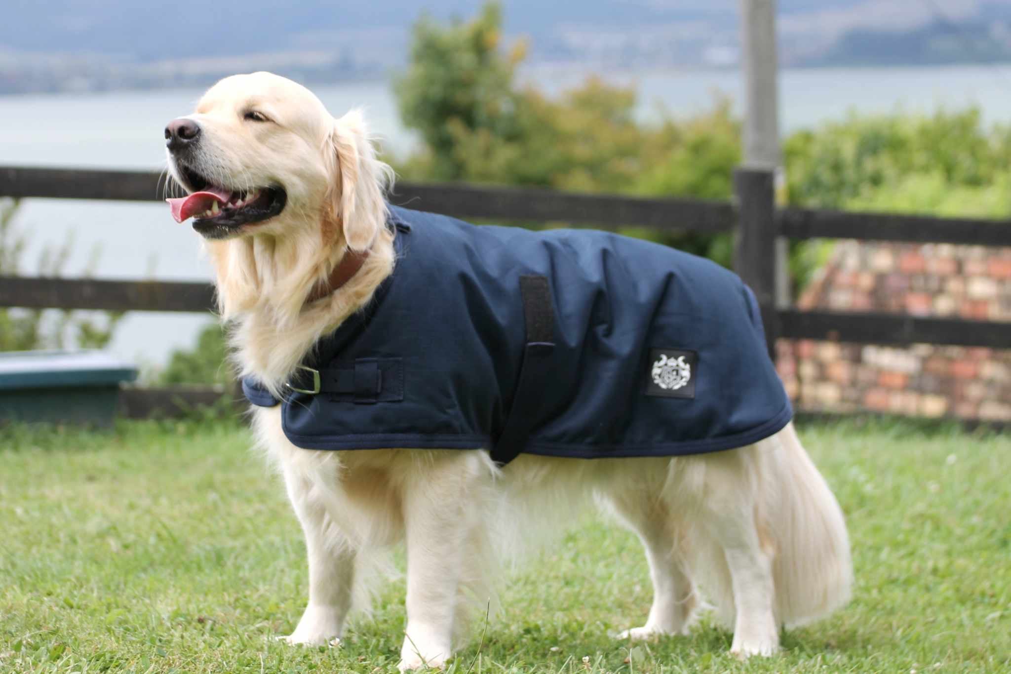 1200D Sherpa Lined Dog Coats