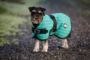 Open image in slideshow, Green Canvas Dog Coats
