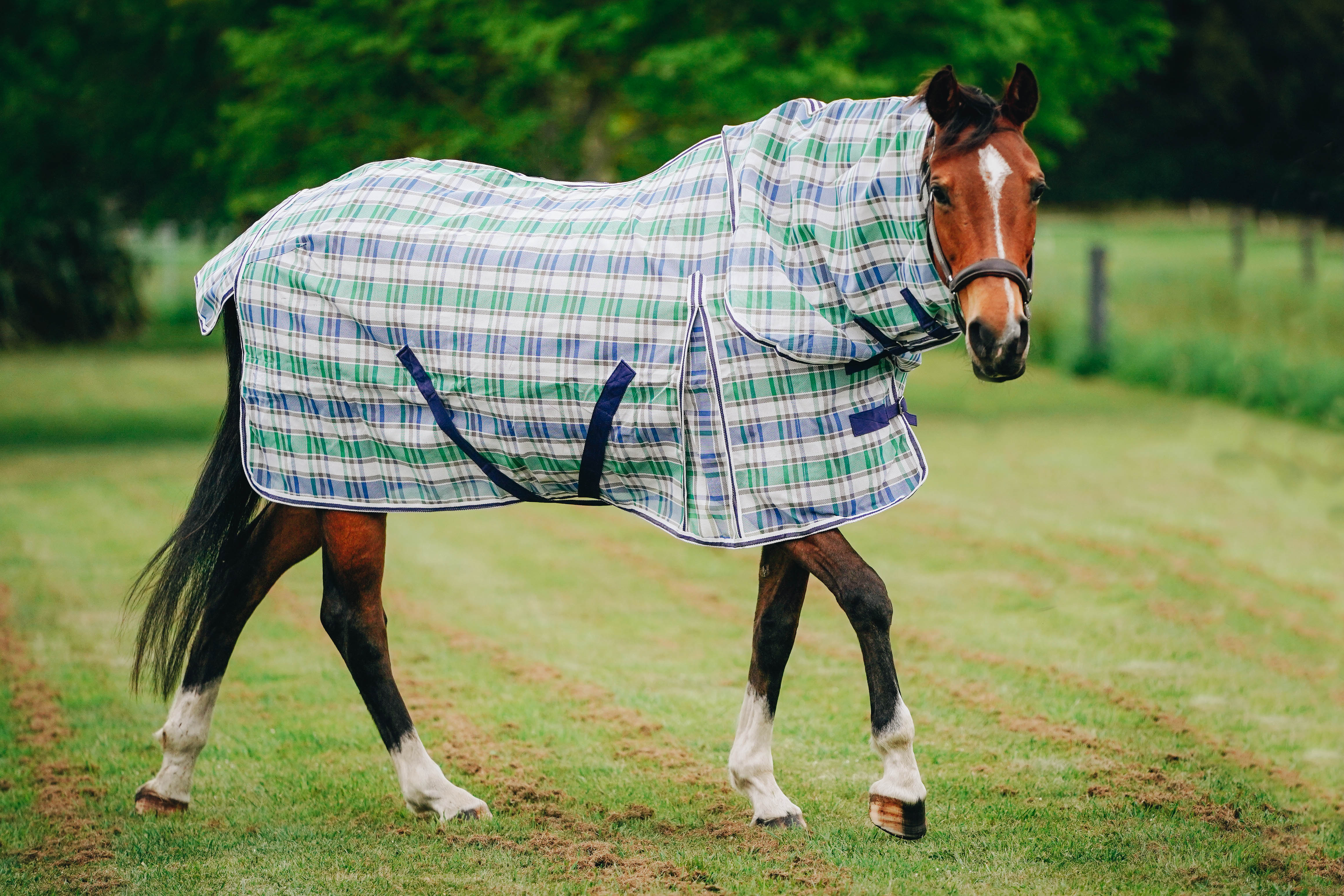 Mesh PVC Detachable with FREE Fly Mask*