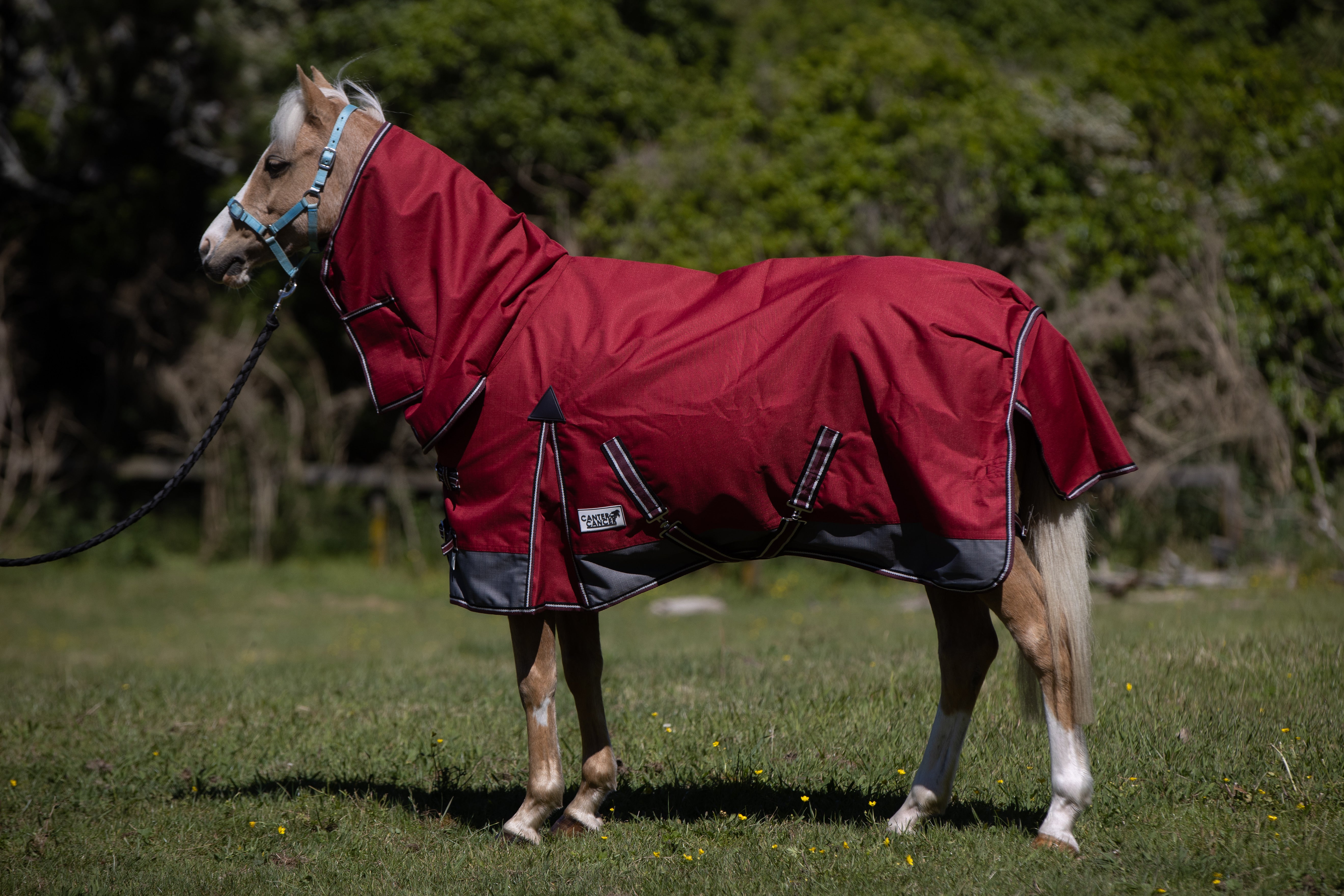 1200D 100g Red/Grey Combo (Pony)